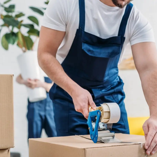 Professional Mover Service